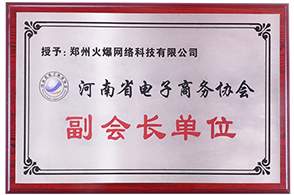 河南省電子商務協會副會長單位