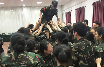單槍匹馬難跨越，百人抱團筑長城！
