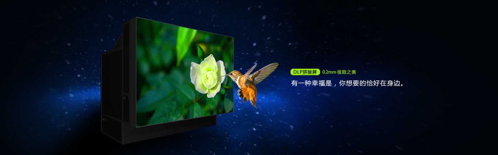 火爆網絡拓展訓練之之艱難任務